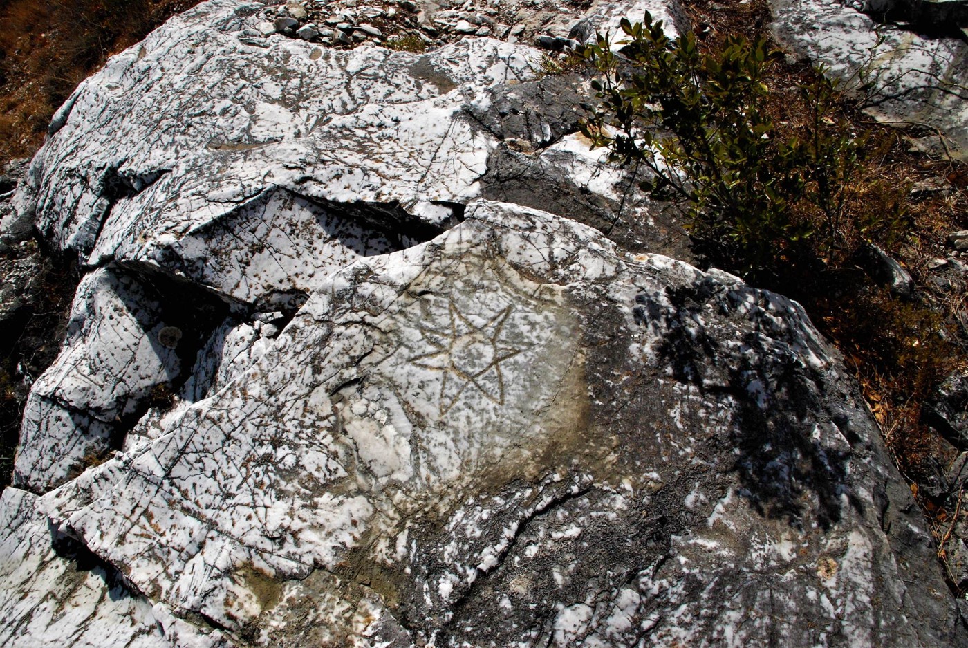 Uno dei “Soli” incisi sulle rocce del nuovo sito alla Cava bassa