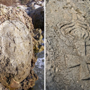 Ordine Reale dell’Aquila Rossa: il segno della presenza prussiana nell’arcipelago toscano scolpito su uno scoglio dell’isola di Pianosa
