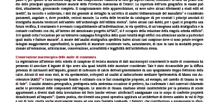 Finiture superficiali nelle architetture medievali della provincia Autonoma di Trento