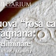 Una nuova “rosa camuna” in Garfagnana: notizia preliminare