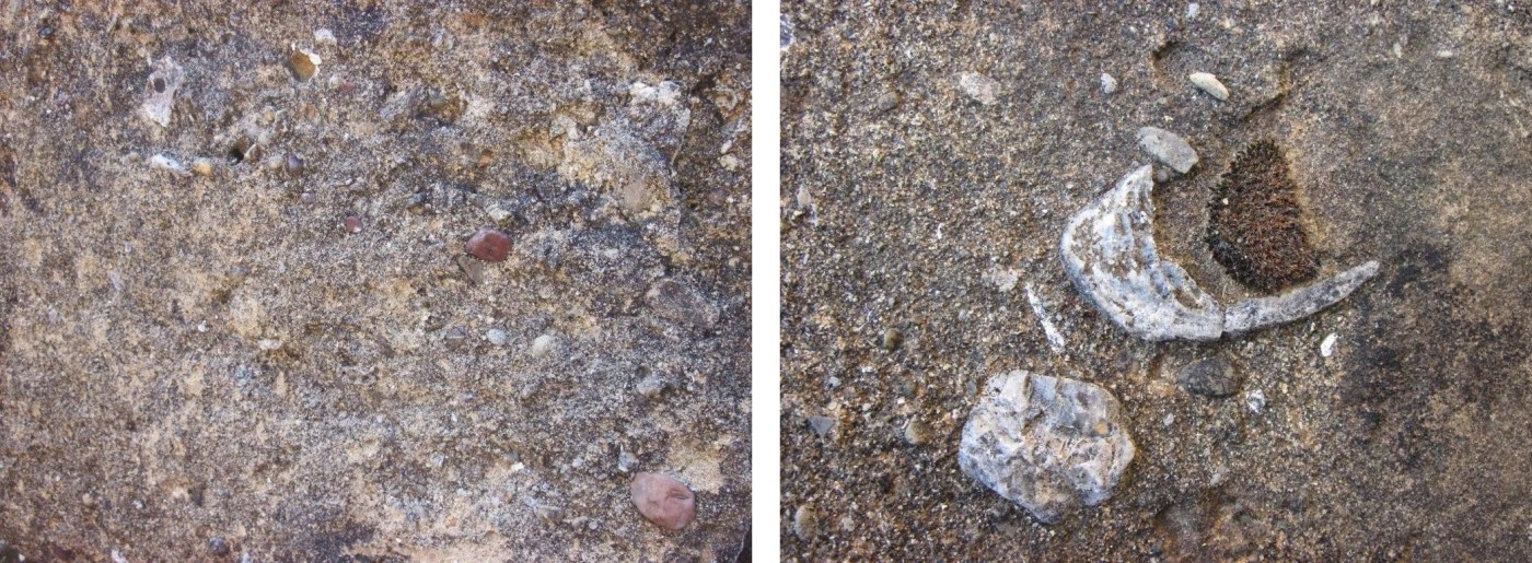 Fig. 1 – caratteristiche macroscopiche del materiale lapideo utilizzato per  le lastre di copertura della tomba